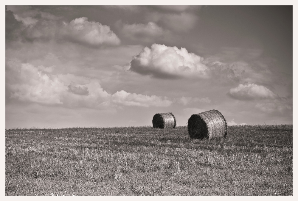 Taunus