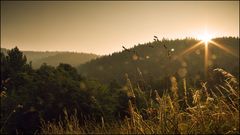 Taunus