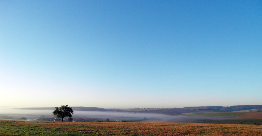 Taunus