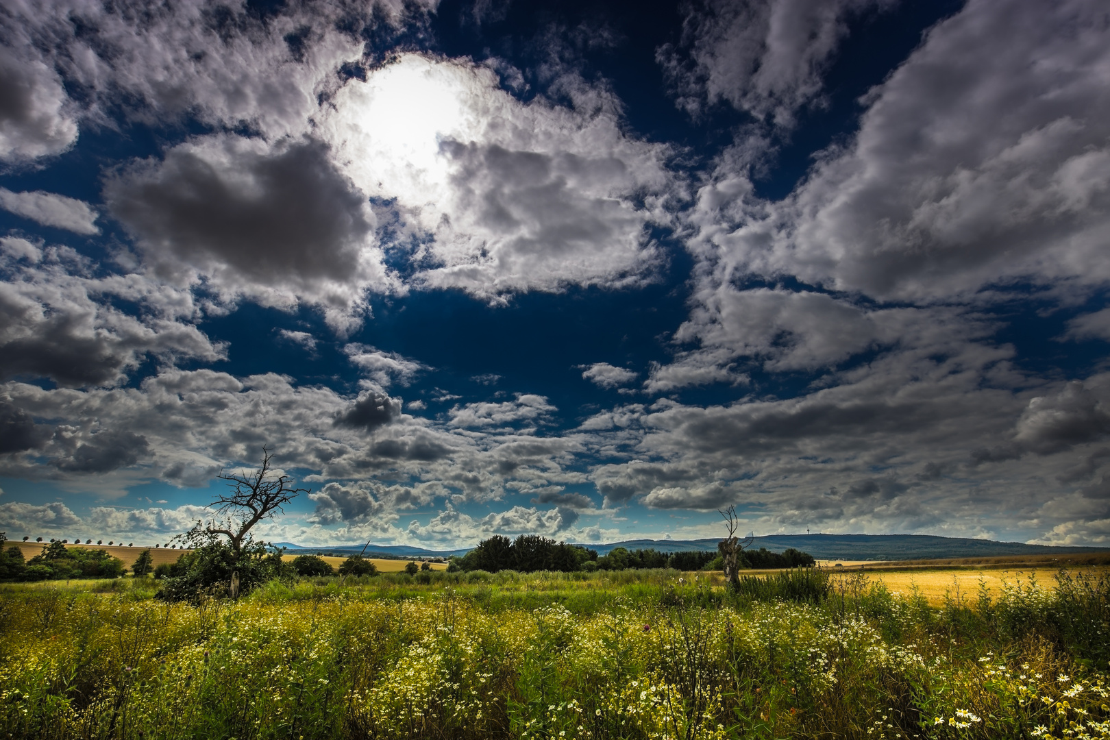 Taunus