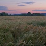 Taunus I