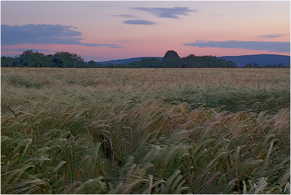 Taunus I