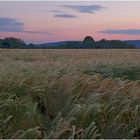 Taunus I