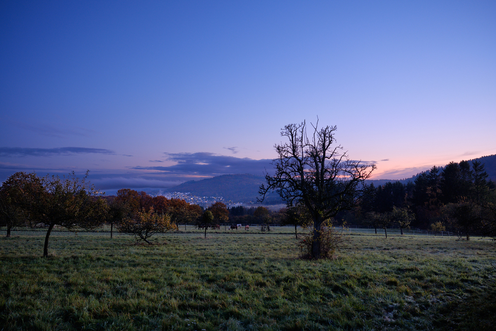 Taunus-Idylle