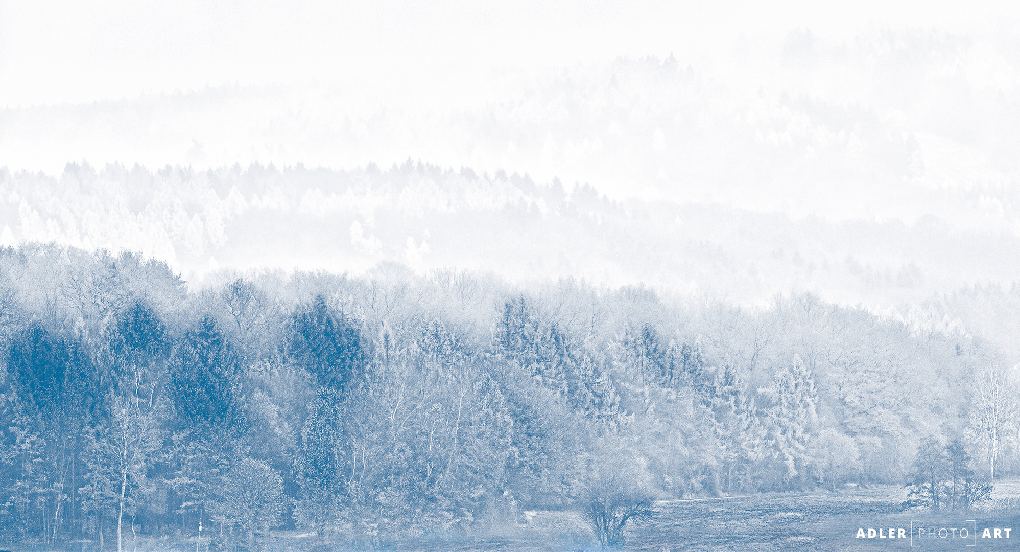 Taunus im Nebel