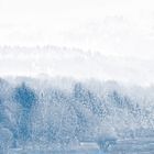 Taunus im Nebel