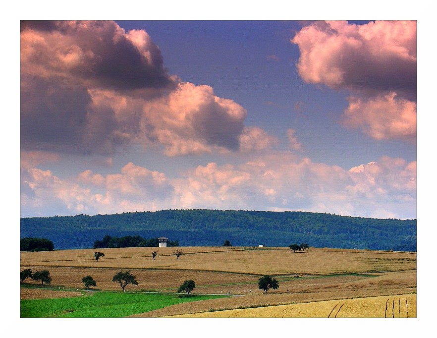 Taunus im Sommerlicht