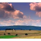 Taunus im Sommerlicht