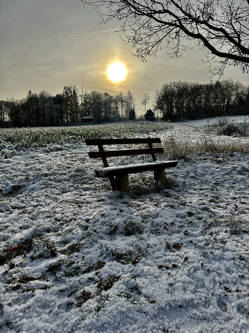 Taunus im Winter