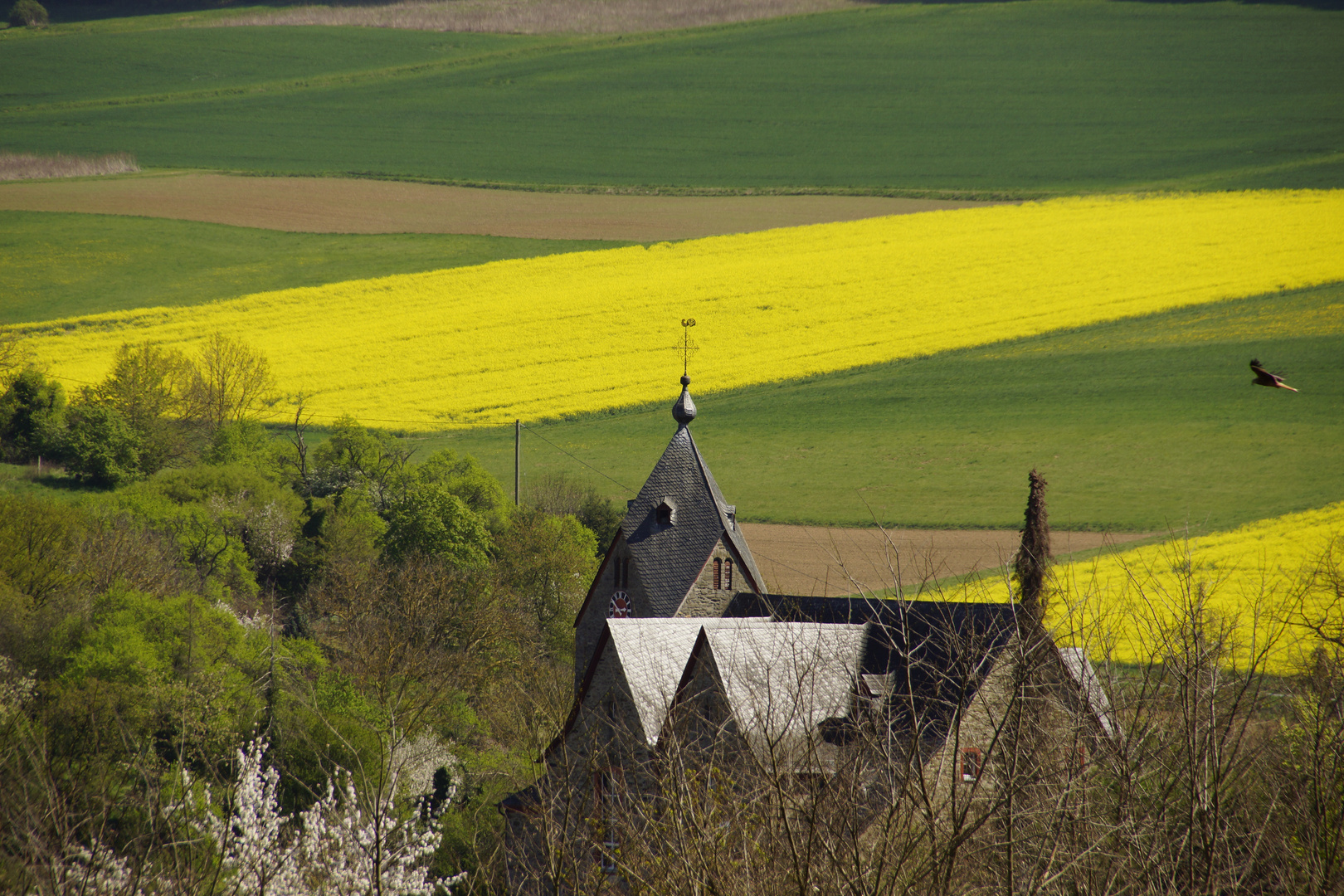 Taunus in Herbst