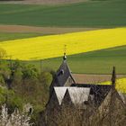 Taunus in Herbst