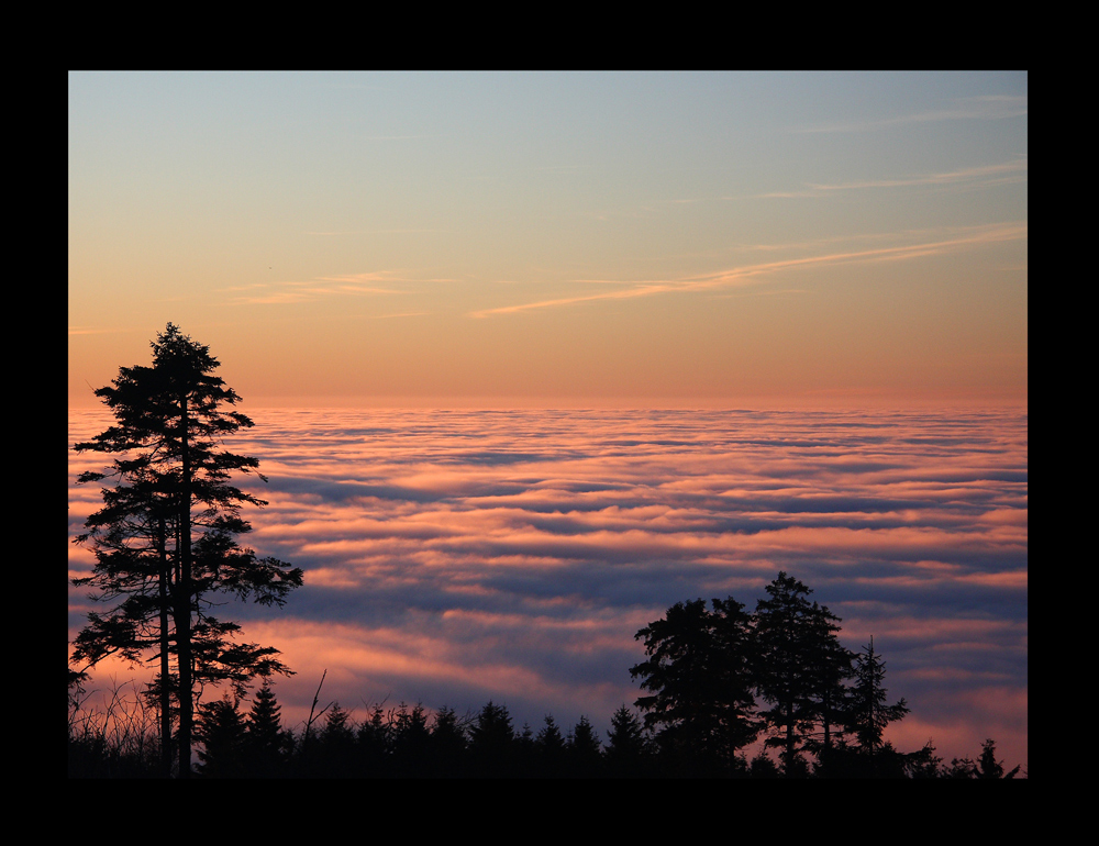 Taunus in Watte gehüllt