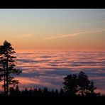 Taunus in Watte gehüllt