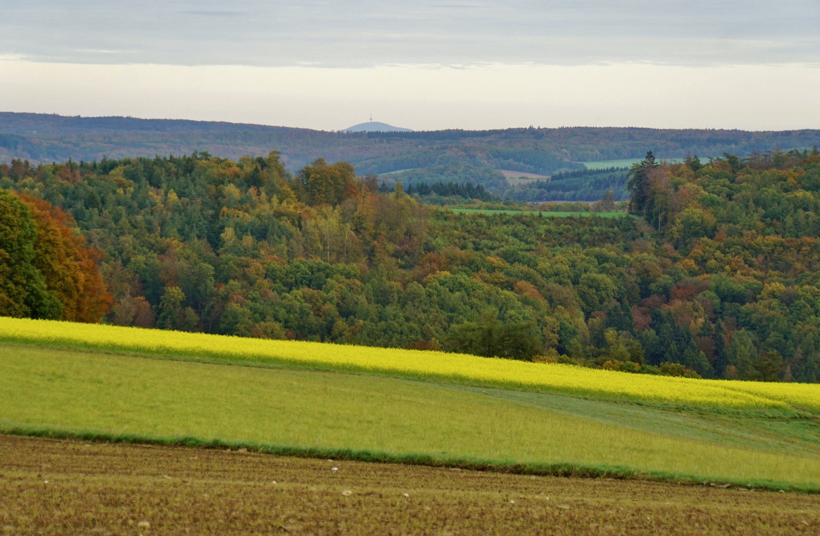 Taunus-Landschaft mit Blick zum Dünsberg 