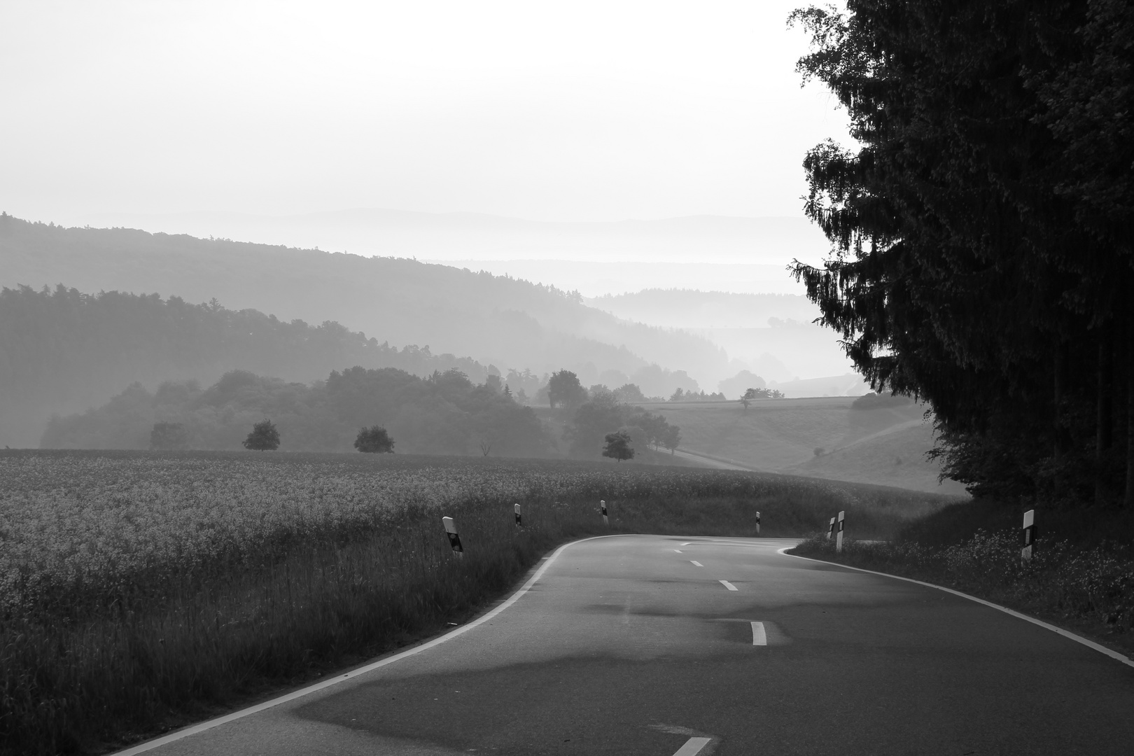 Taunus-Straße