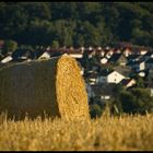 Taunus-Stroh