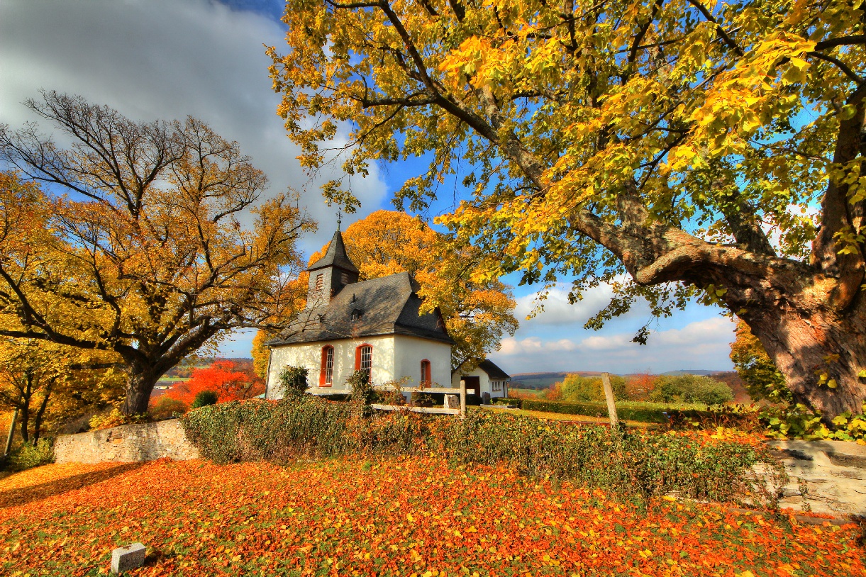 Taunus wie im Märchen 