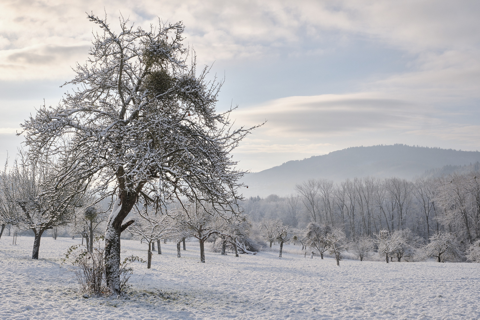 Taunus Winterland