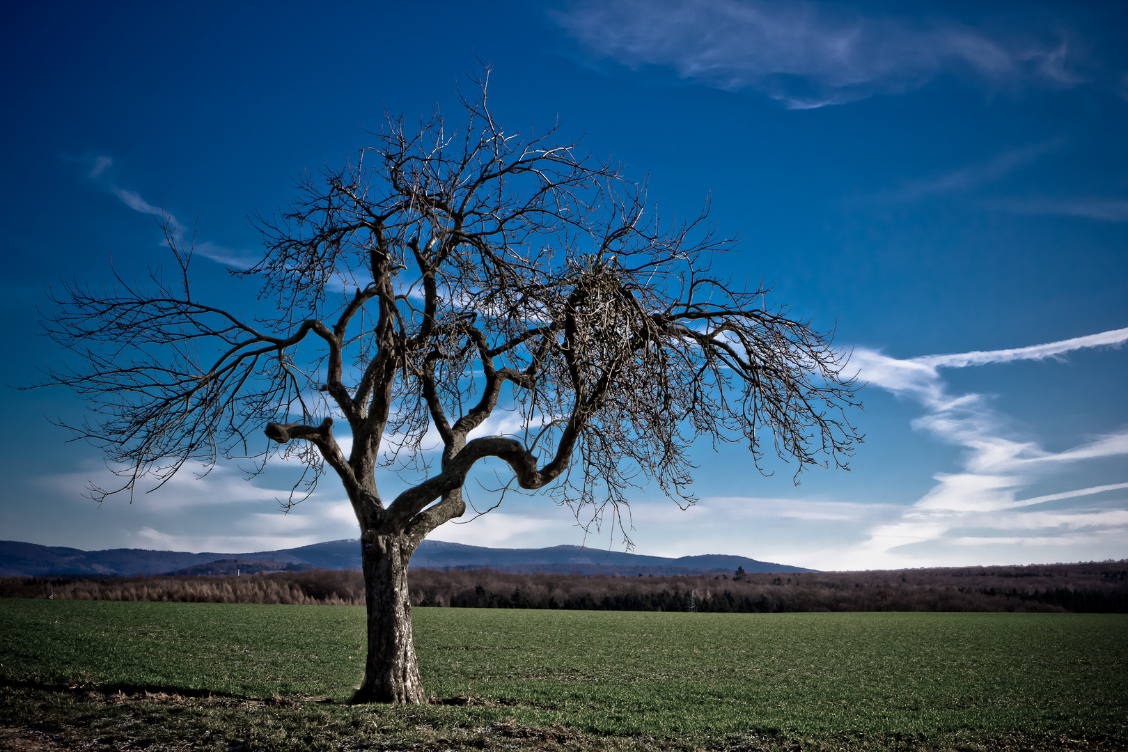 Taunus Wunderland