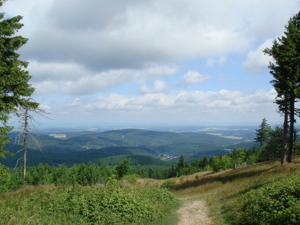 Taunusblick