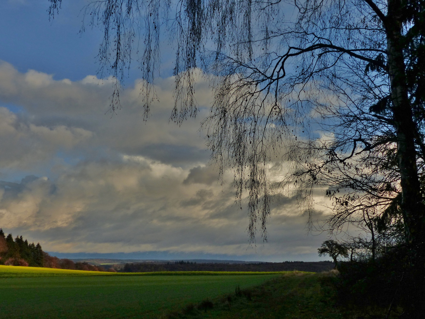 Taunuslandschaft 03.12.2018