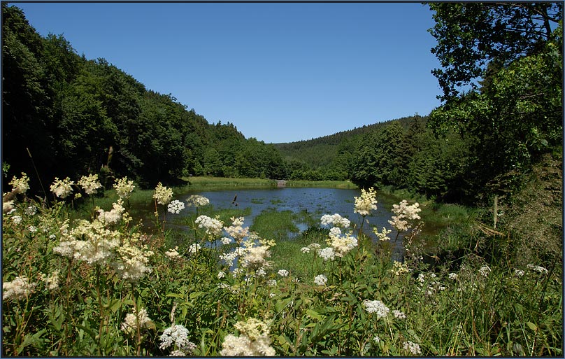 Taunuslandschaft