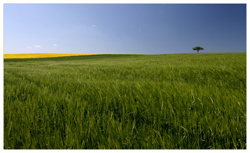 Taunuslandschaft