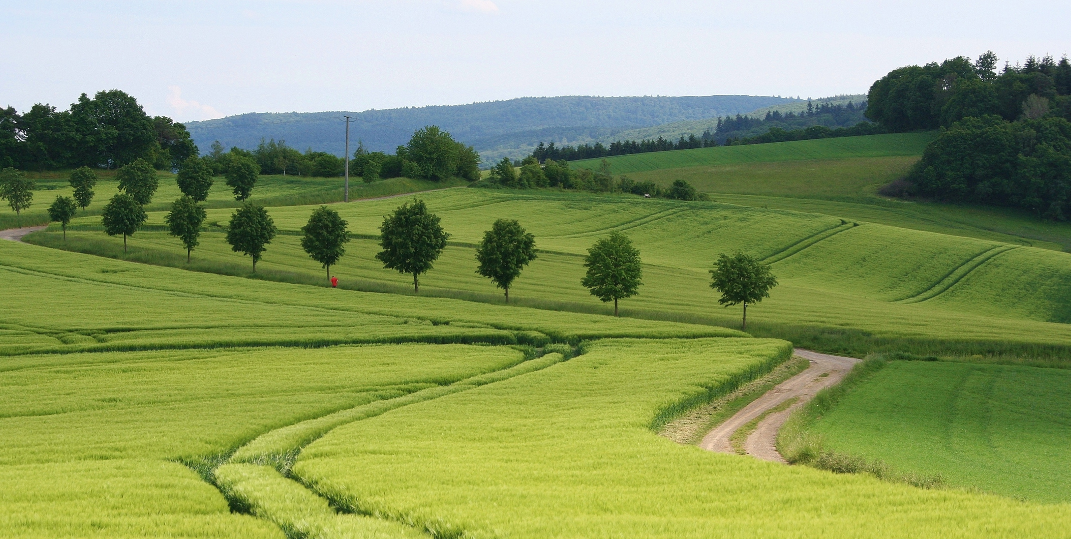 Taunuslandschaft