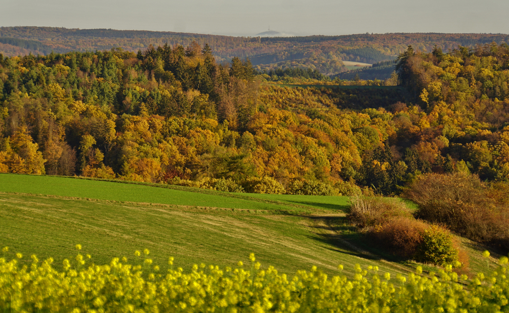 Taunuslandschaft_03 Weiltal & Dünsberg