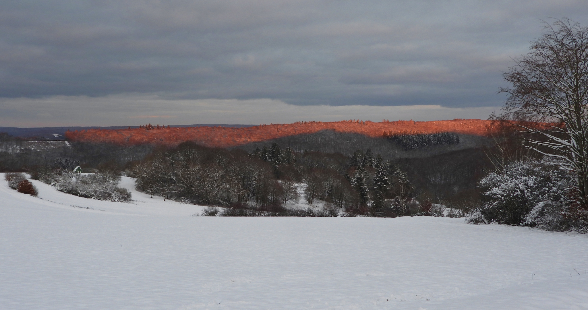 Taunuslandschaft_09.01.2021_03