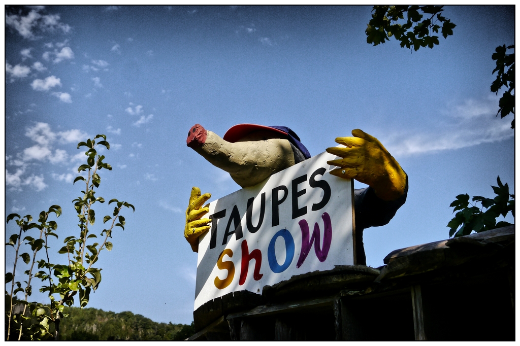 Taupe Photo Et Image Nature Elsass Humour Images Fotocommunity