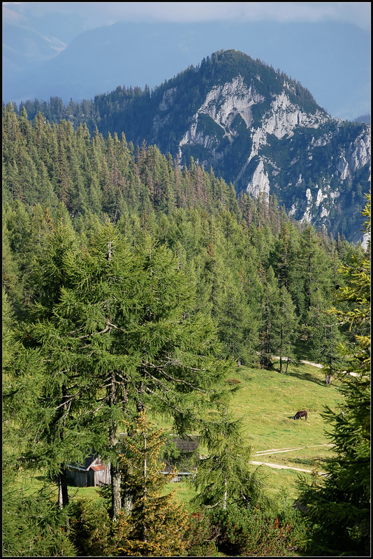 Tauplitzalm - Balkonblick... *2*