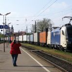 Taurus der Wiener Lokalbahnen AG