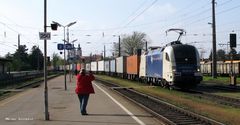 Taurus der Wiener Lokalbahnen AG