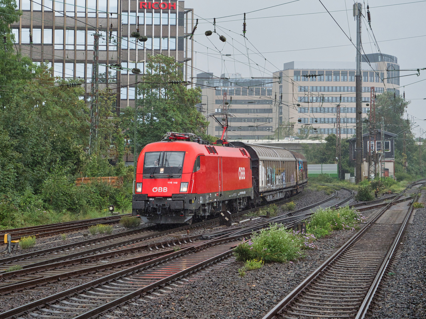 Taurus in Düsseldorf-Rath