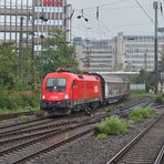 Taurus in Düsseldorf-Rath