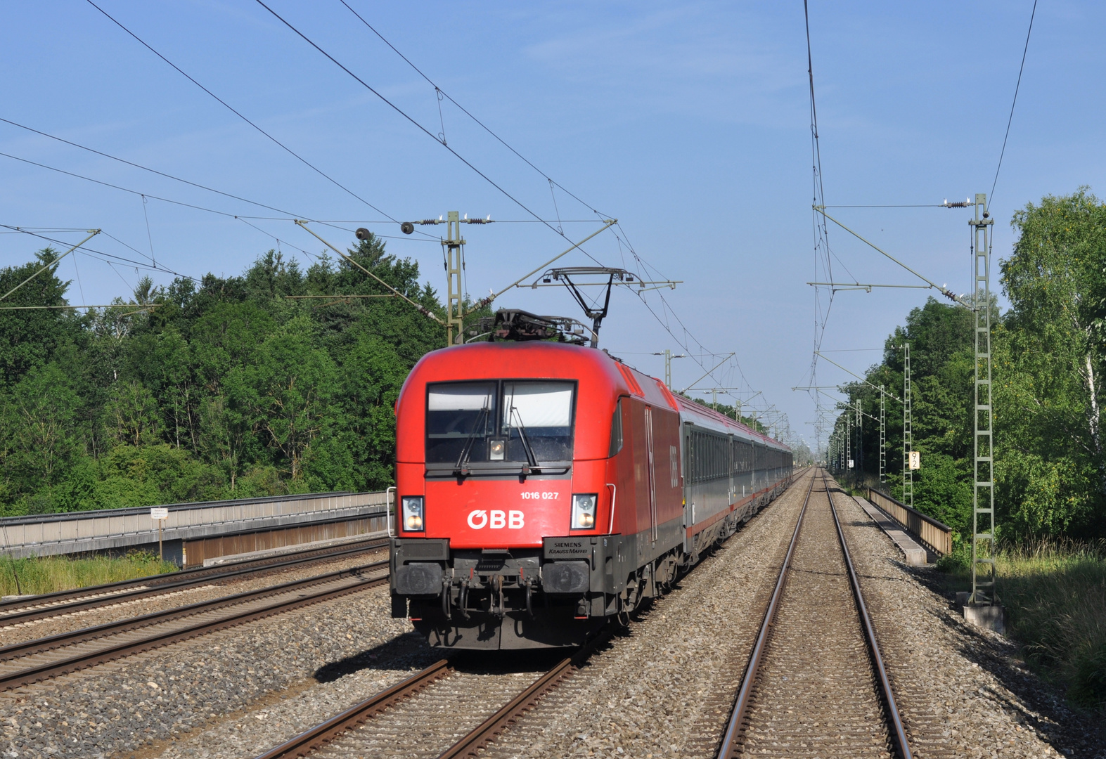 Taurus vorm Gegenverkehr