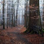 Tausend blauglühende Ätheraugen