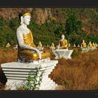 Tausend Buddhas in Reih und Glied