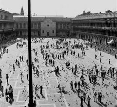 Tausend Schatten auf dem Markusplatz