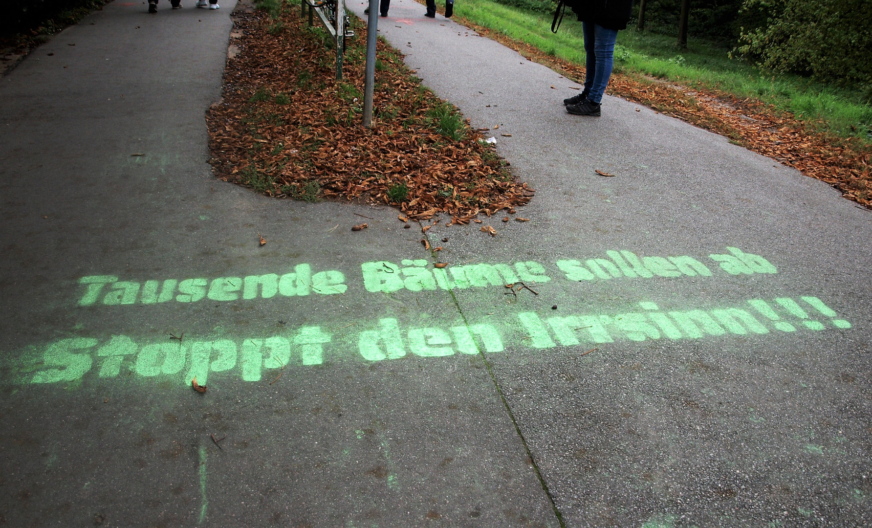 Tausend wertgebende Bäume sollen fallen