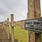 Tausende Leben ... sinnlos vernichtet ...