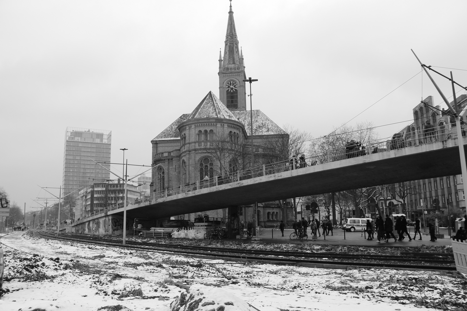 Tausendfüßler in Düsseldorf