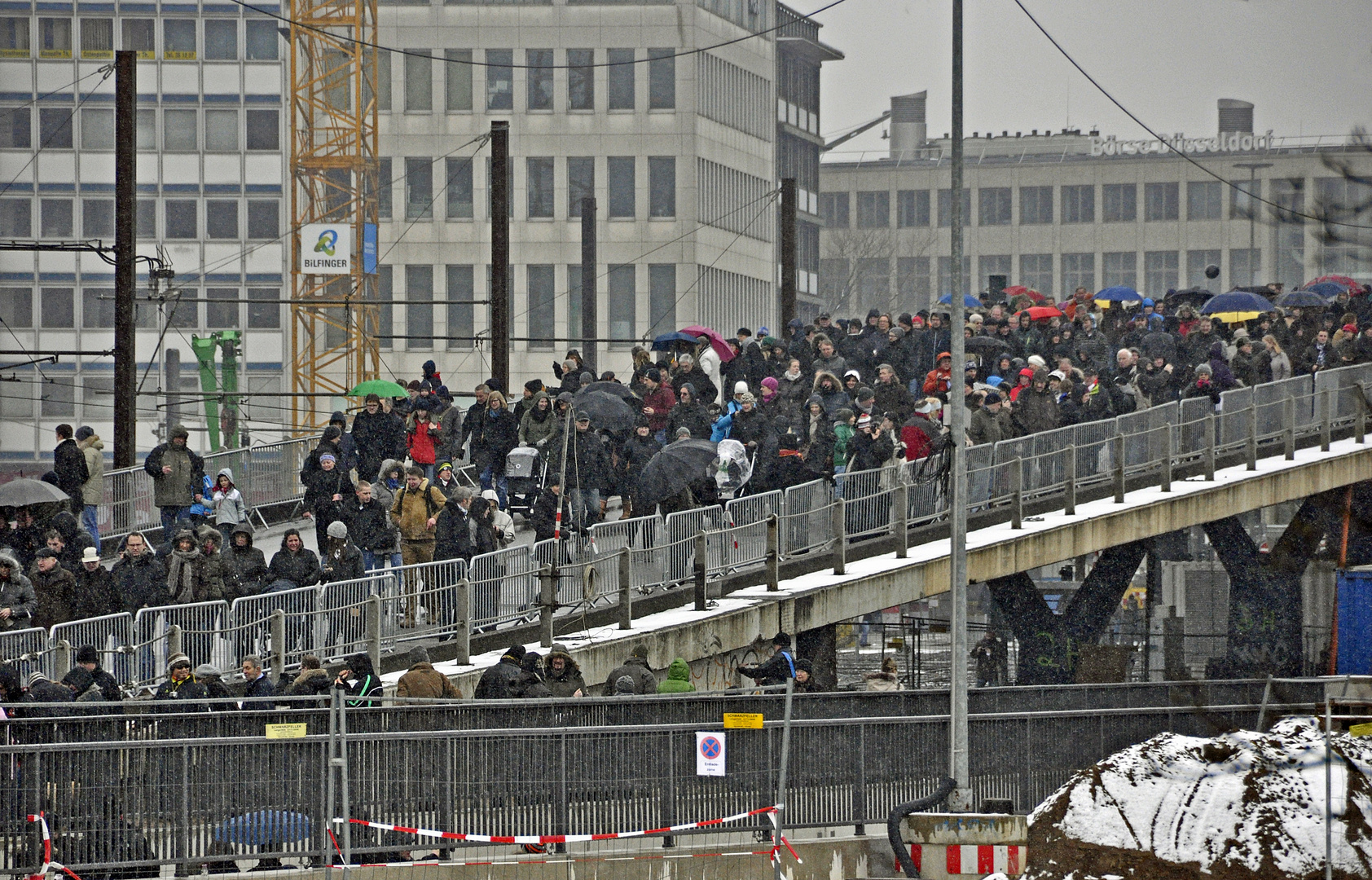 Tausendfüßler in Düsseldorf