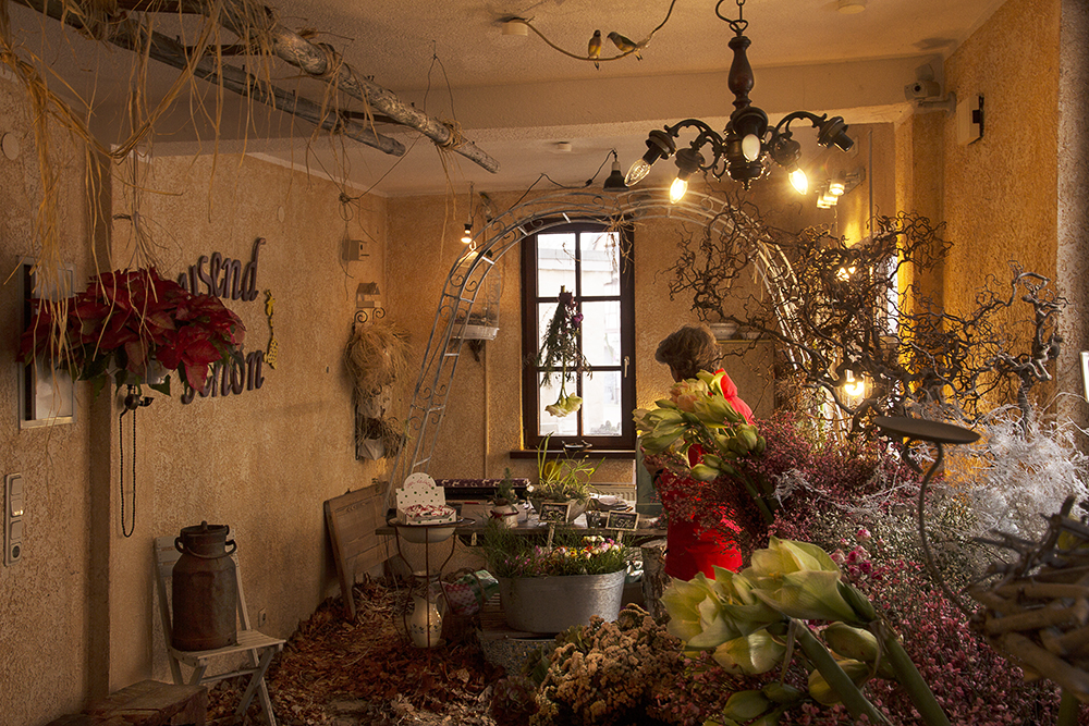 Tausendschön Blumenladen in Seligenstadt I Foto & Bild deutschland