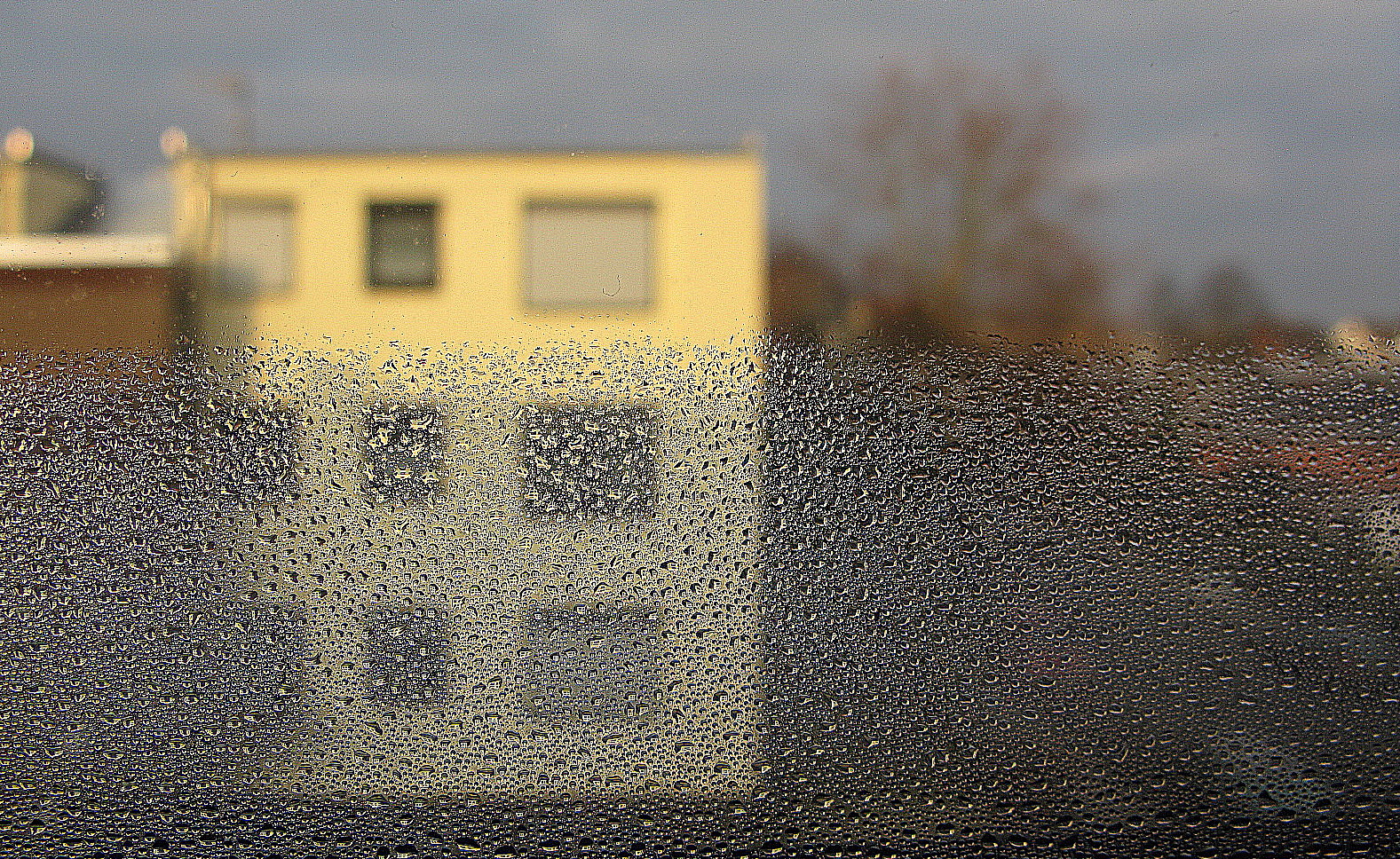 Tauwasseranfall am Fenster (27. Februar 2012) --- 1. Foto ---