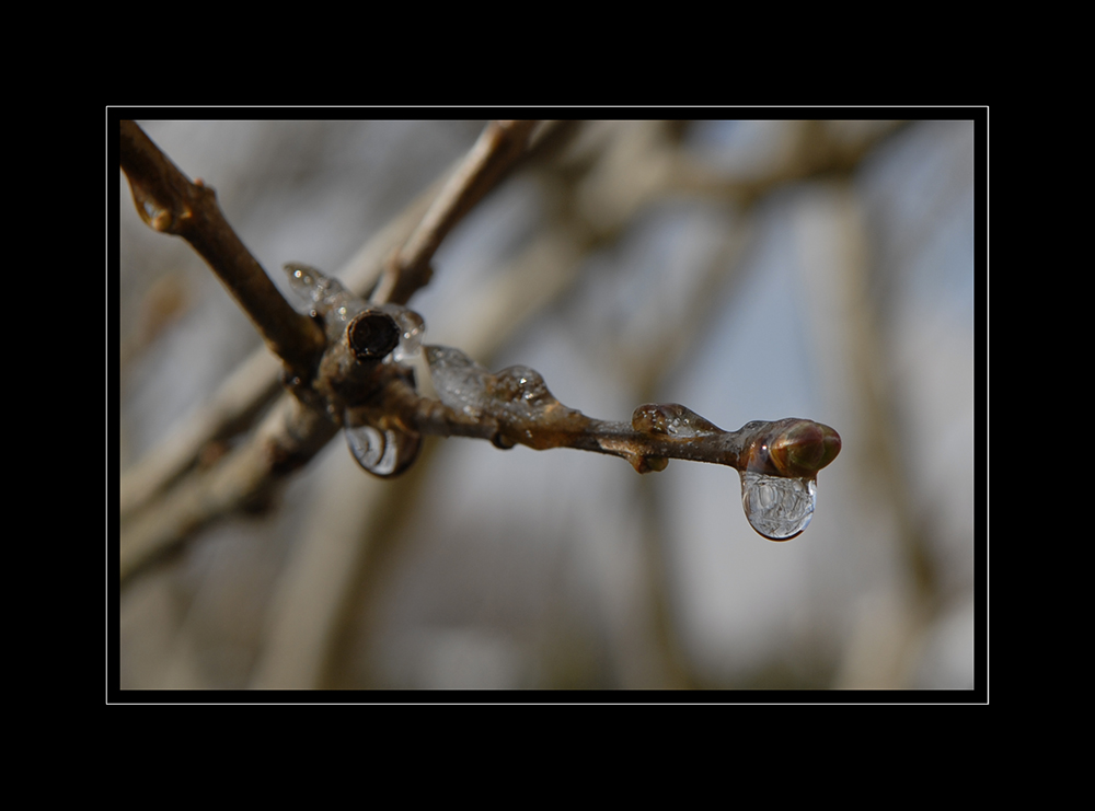 "Tauwetter"