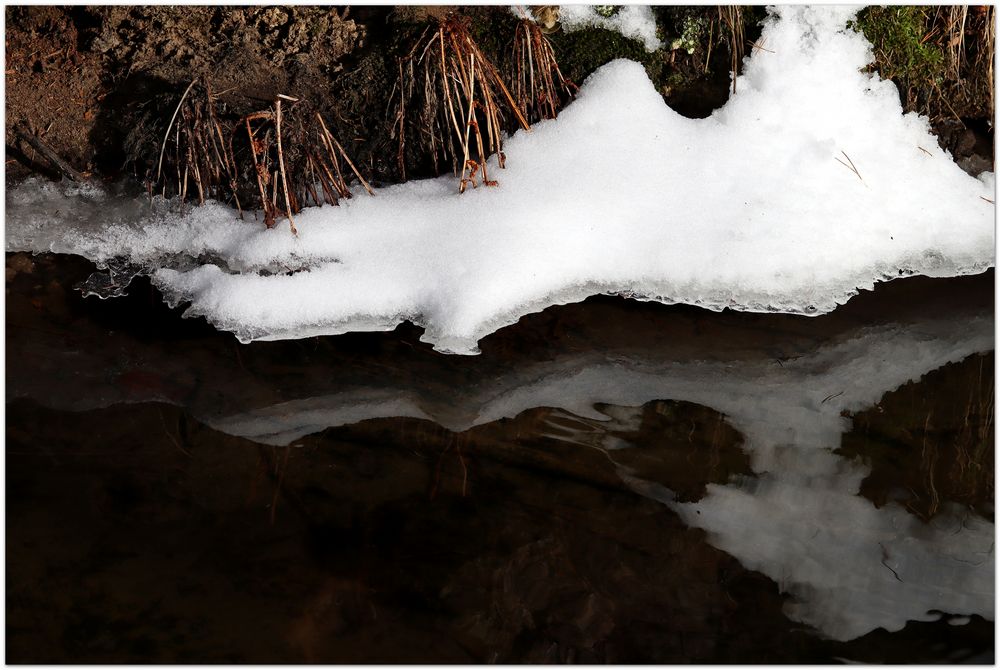 Tauwetter Foto & Bild jahreszeiten, winter, projekte Bilder auf