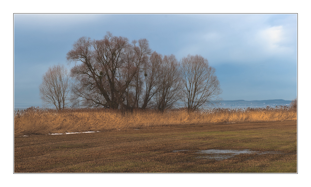 Tauwetter am Bodensee