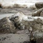 Tauwetter am Strand von Hiddensee